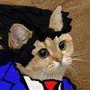 feenixfan Avatar
