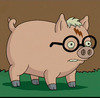HarryPlopper Avatar