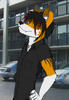 trollinandhatin Avatar