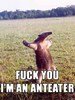 TheTrueAnteater Avatar