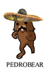 ThePedroBear Avatar