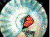 anonymause Avatar
