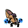 napolermo Avatar
