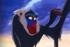 monkeydudes Avatar