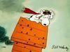 shootindownsnoopy Avatar
