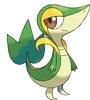 Snivy Avatar