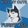 lustfulhound Avatar