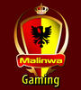 malinwa Avatar