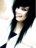 channchilla Avatar