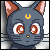 queedo Avatar