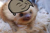 jaakoko Avatar