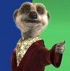 superninjacat Avatar
