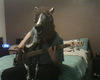 slipperycheese Avatar