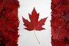 canadianbeer Avatar