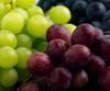 Grape Avatar