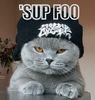 GordoTheRipper Avatar