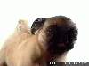 EpicKewlness Avatar