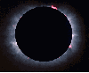 nsfwvideoresource Avatar