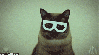 jfishmccuntyface Avatar