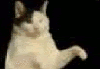 painz Avatar