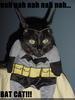 batcatman Avatar