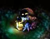 thegrimpoe Avatar
