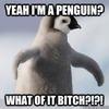 imapenguinyep Avatar