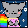 bianchicool Avatar