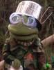 TardytheTurtle Avatar