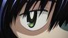 urabelove Avatar