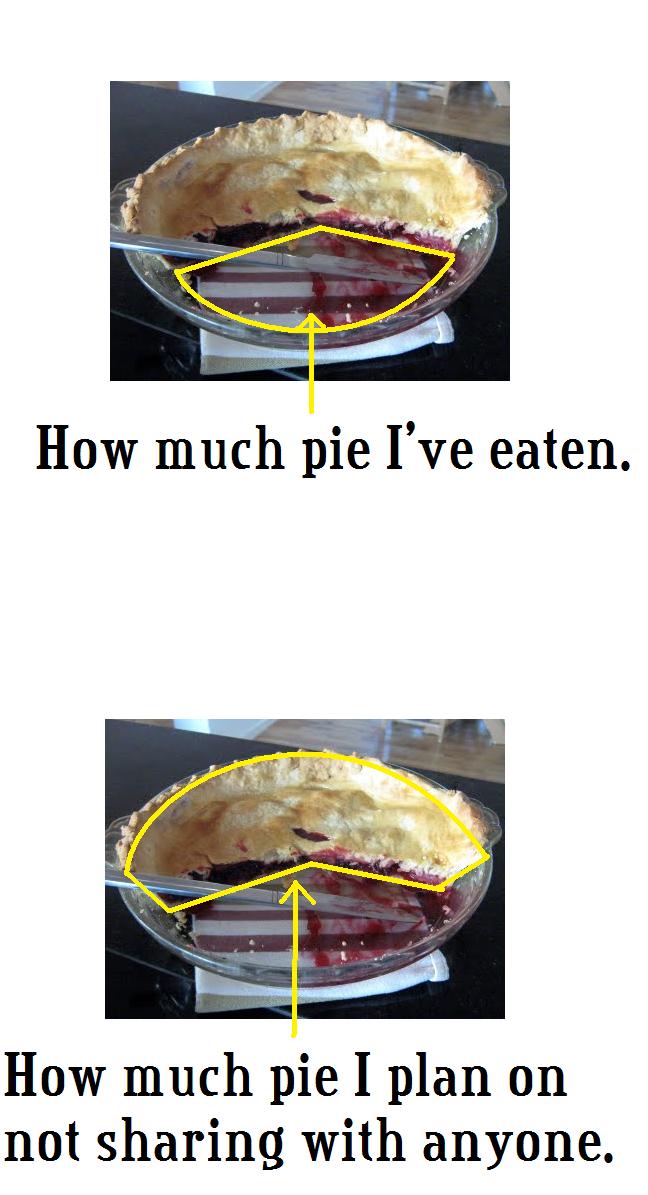 Pie Chart 7