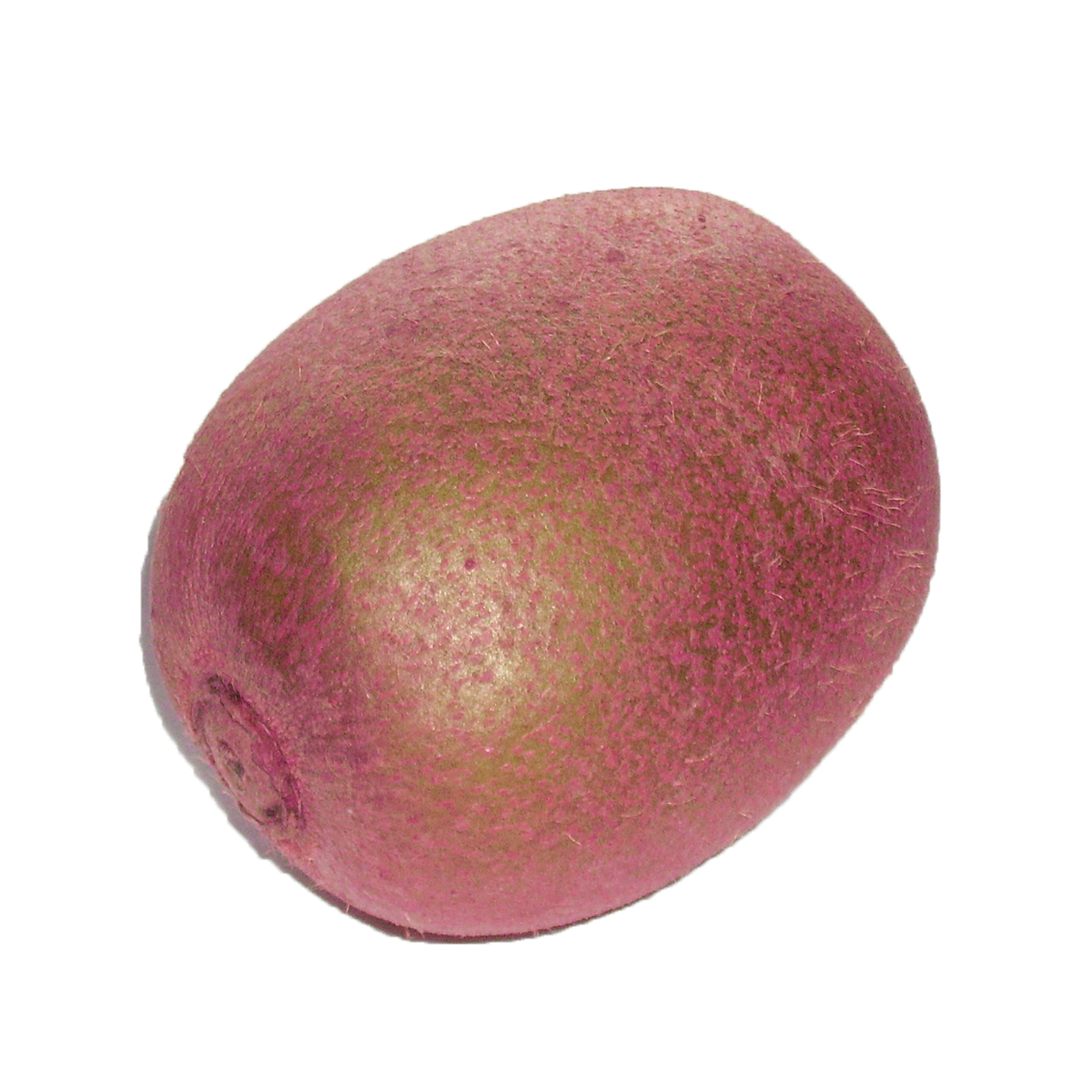 pink kiwi