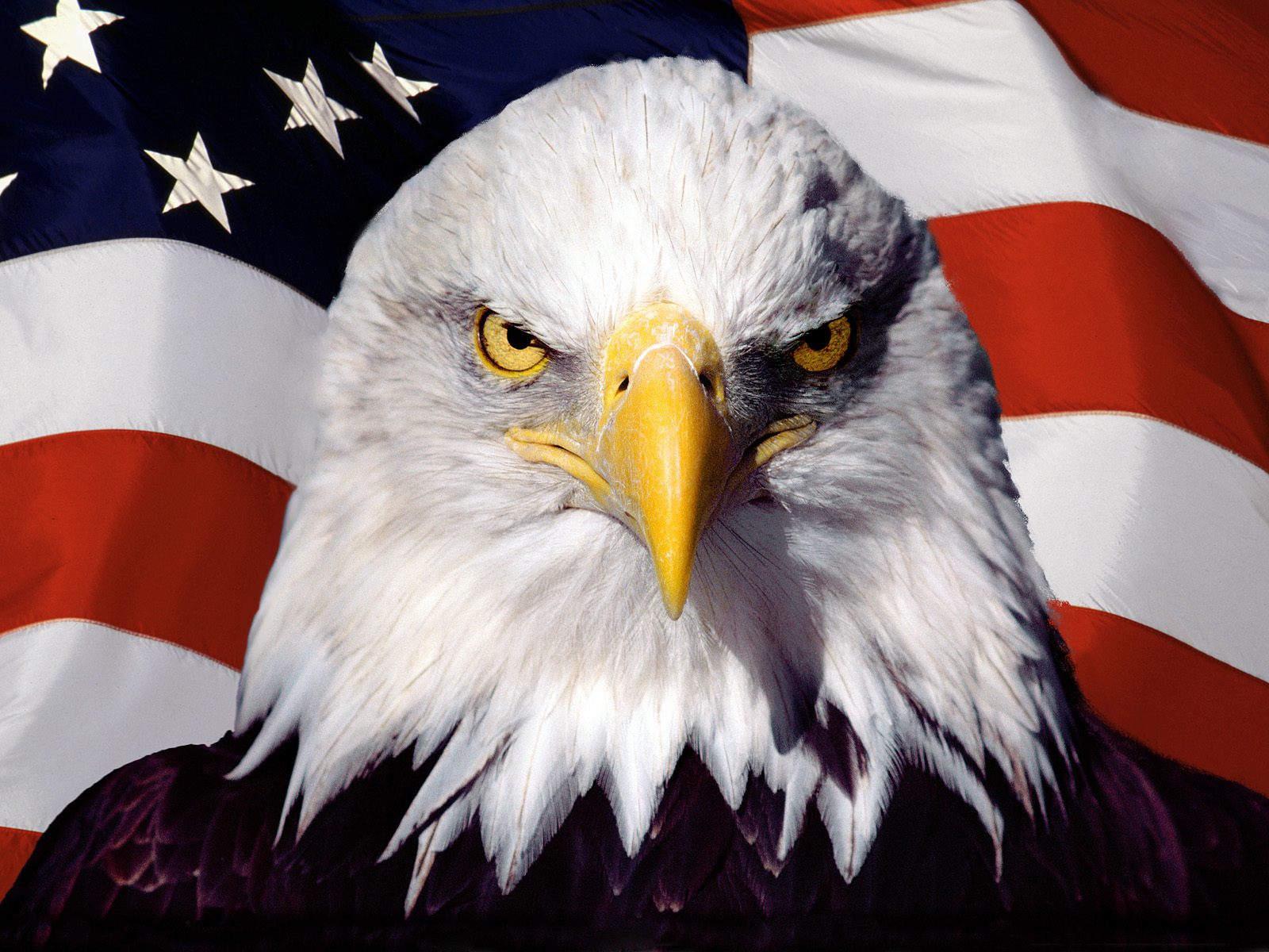 The%2BFreedom%2BEagle%2Bhas%2Bsaved%2Bthe%2Bworld%2Bfrom%2Banother%2BCommunist%2B_8cc2e84249140691a8086590cdf5eddd.jpg