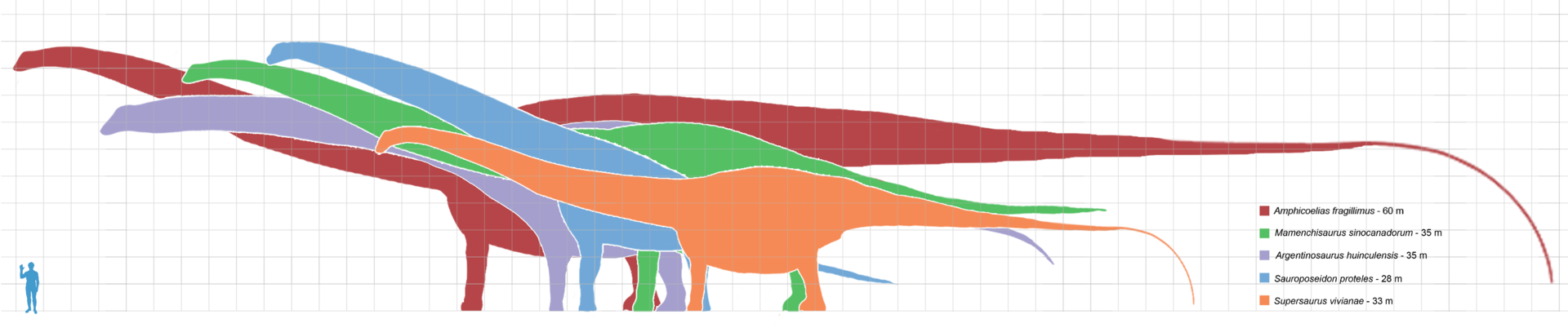 largest herbivore dinosaur