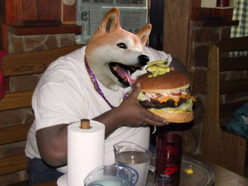 doge+is+love+doge+is+life+_500073aea672d075f755b3c6aae1f1de.jpg