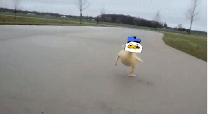Posted Image
