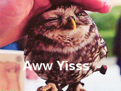 4594729+_b72ee8f86f3d6b7fa32617032993f84e.gif