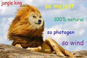 [Image: DOGE%2Bis%2Balmighty%2Bmost%2B_b69df04b6...aa80ff.jpg]