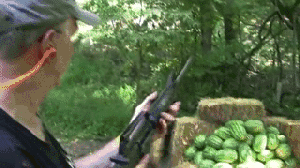http://static1.fjcdn.com/thumbnails/comments/Here+is+everyone+s+favorite+person+hickok45+making+sure+the++_a3b97d17c76408c7f6e6f9d0081958dd.gif
