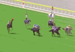 LOL+HOW+TO+JOCKEY+_4fd05b80f2a793c22c1787a4d17faa3b.gif