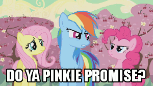Pinkie+Promise+bro+_a960067289b82943a9c00cbeea88734d.gif