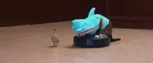 possibly+the+best+gif+i+ve+ever+seen+_69