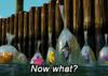 After the Enderdragon has been slain