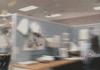 Flying Dog In Office
