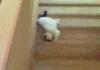 Going to school..