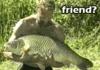 Holding someone's pet for the first time