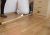 Kitten Jump