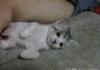 I fall asleep with my hand too