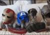 cosplay avengers