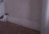 Ninja Cat